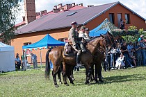 fot. 130